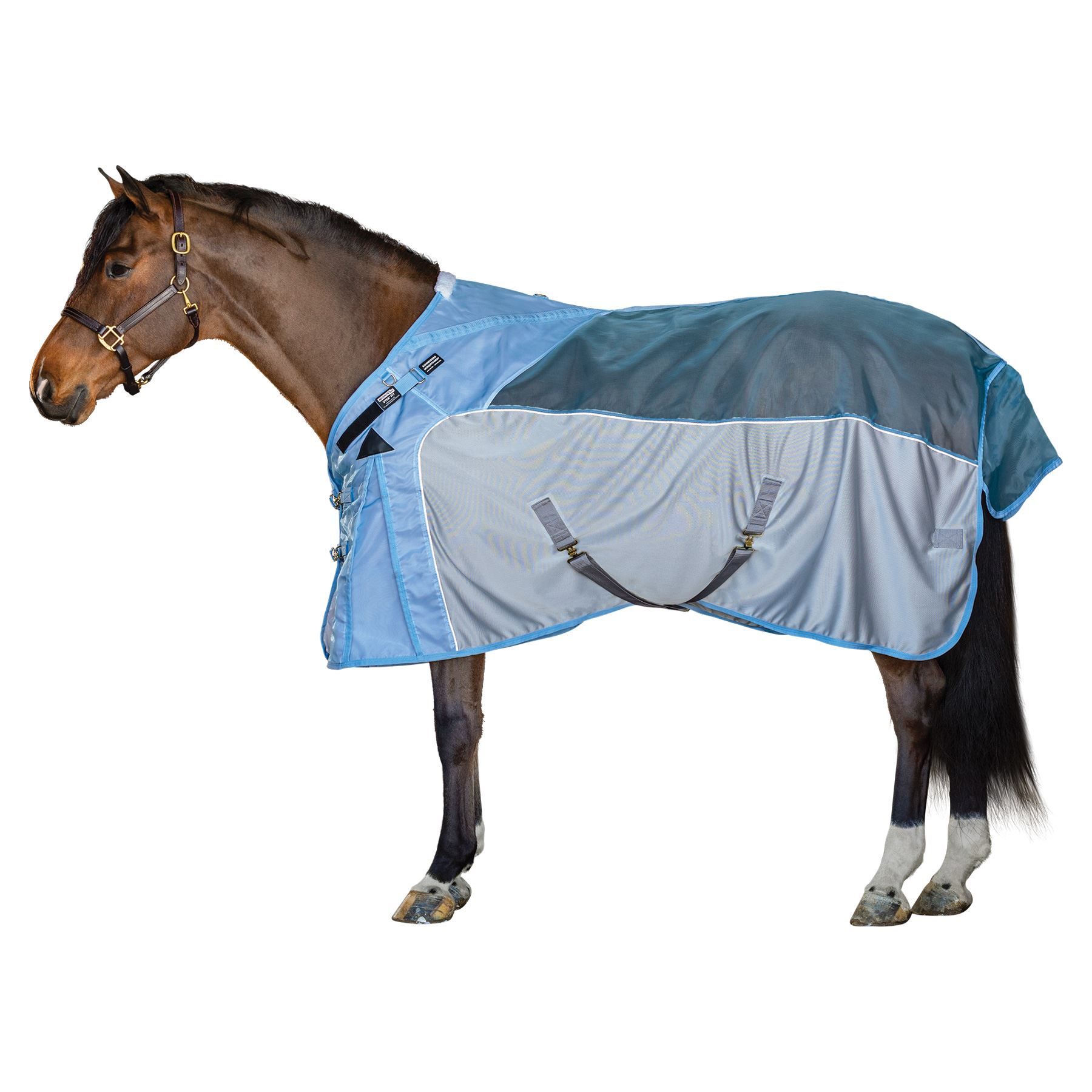 Hybrid VTEK® Mosquito Mesh Fly Sheet in Horse Blankets And Sheets at