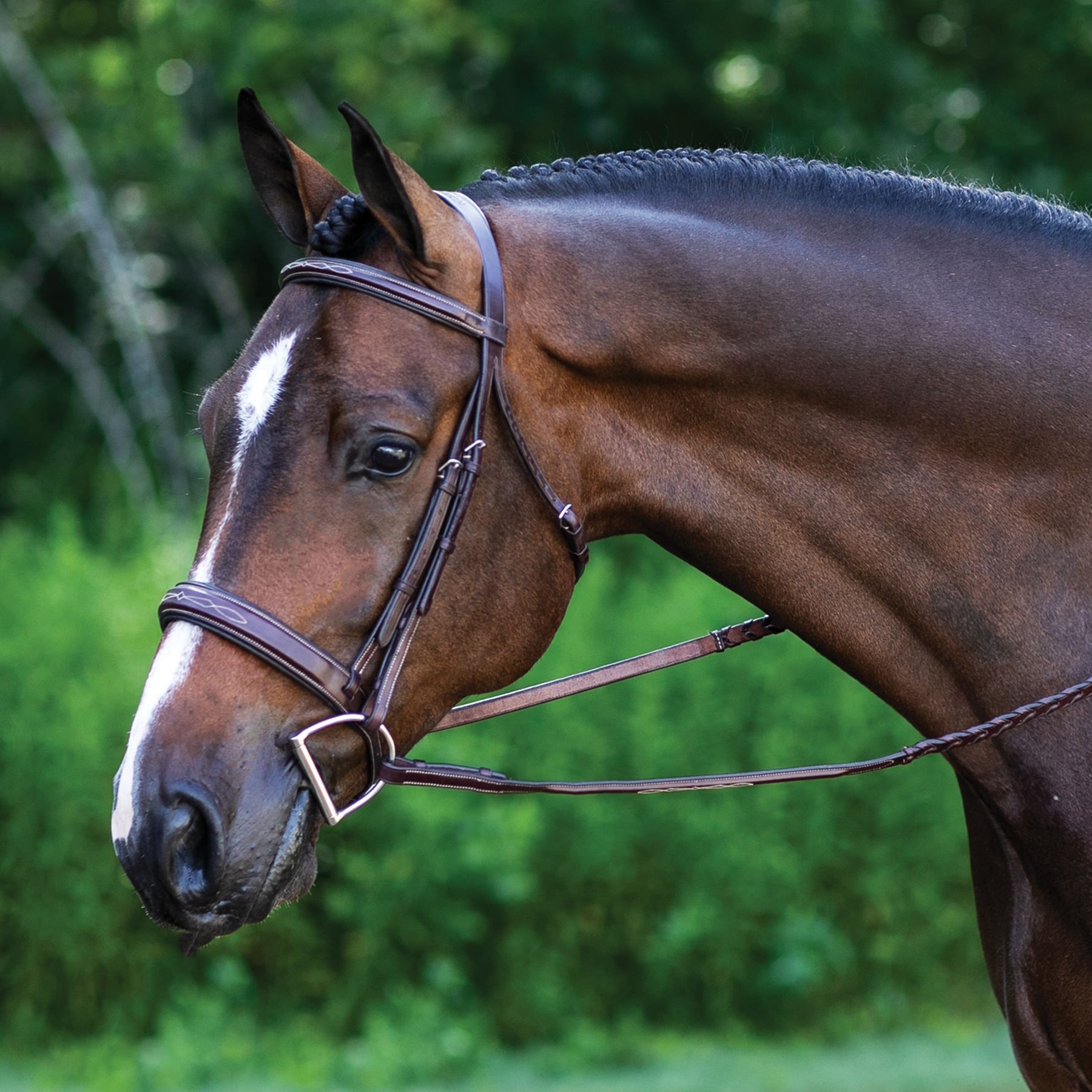 Ovation® Fancy Stitched Wide Nose Padded Bridle in English at Schneider