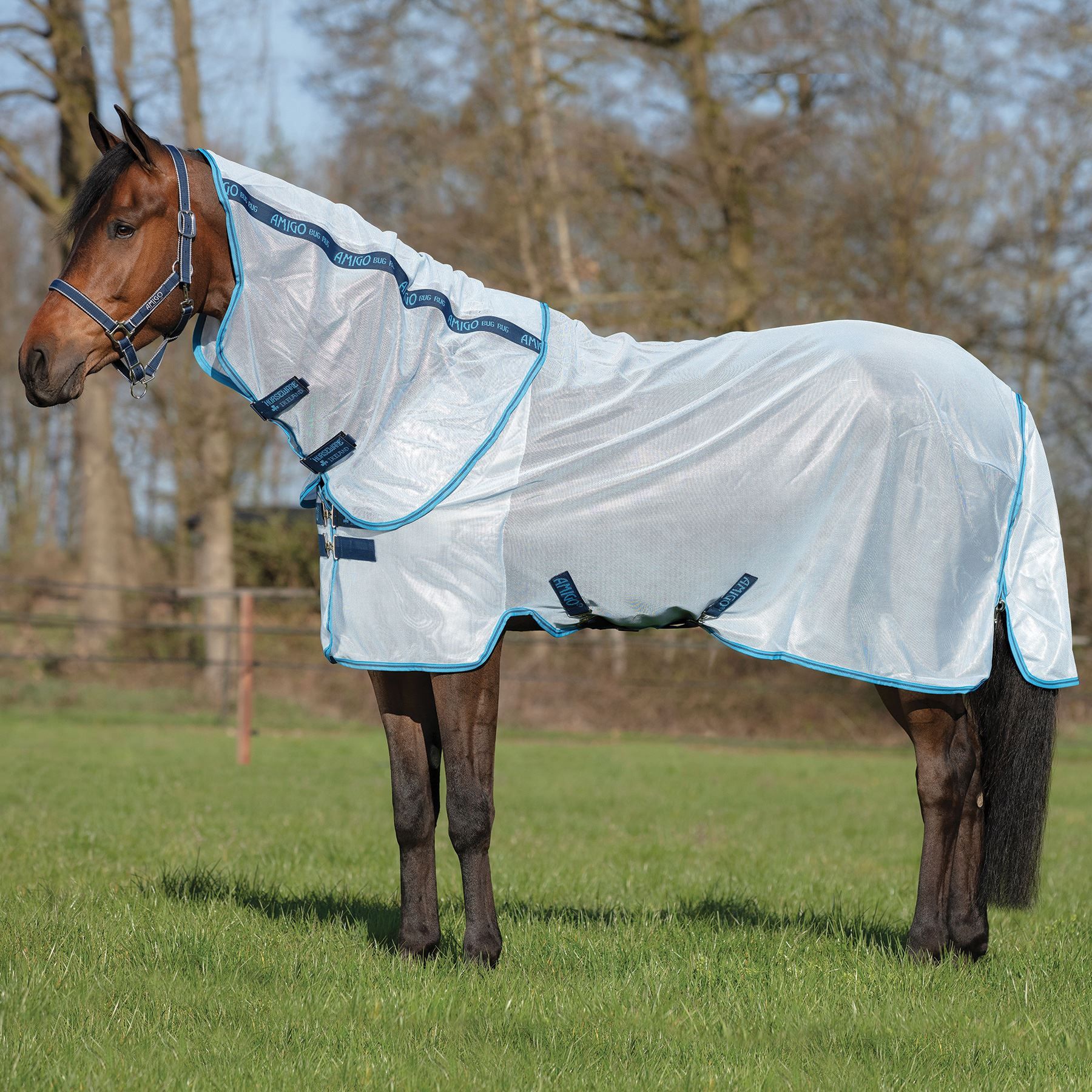Amigo® Bug Rug Fly Sheet in Horse Blankets And Sheets at Schneider Saddlery