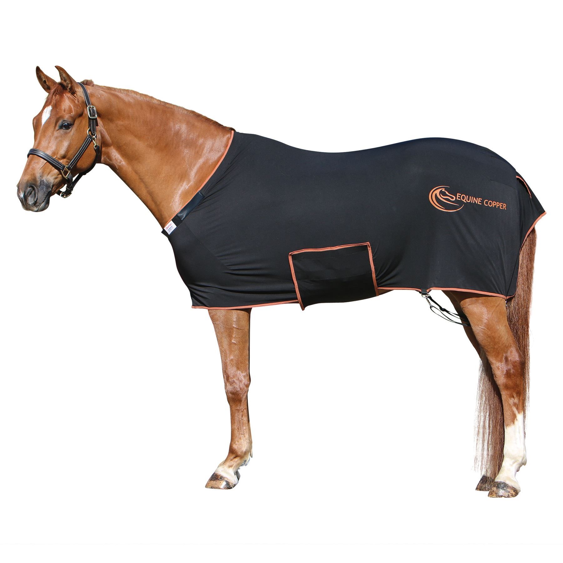 Equine Copper Lycra Bellyband Sheet in Horse Blankets And Sheets at