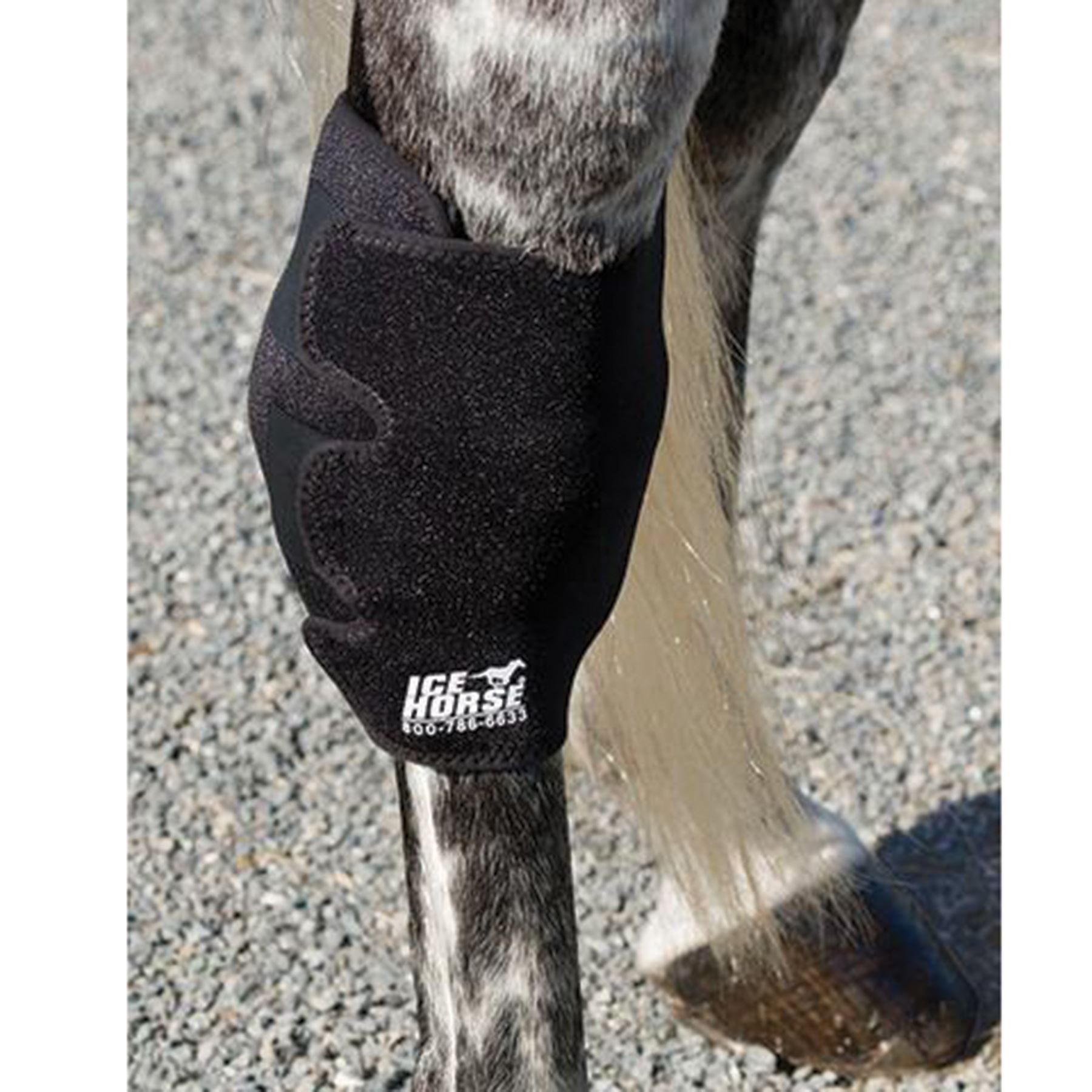 Ice Horse® Hock Ice Wrap in Cold Therapy at Schneider Saddlery
