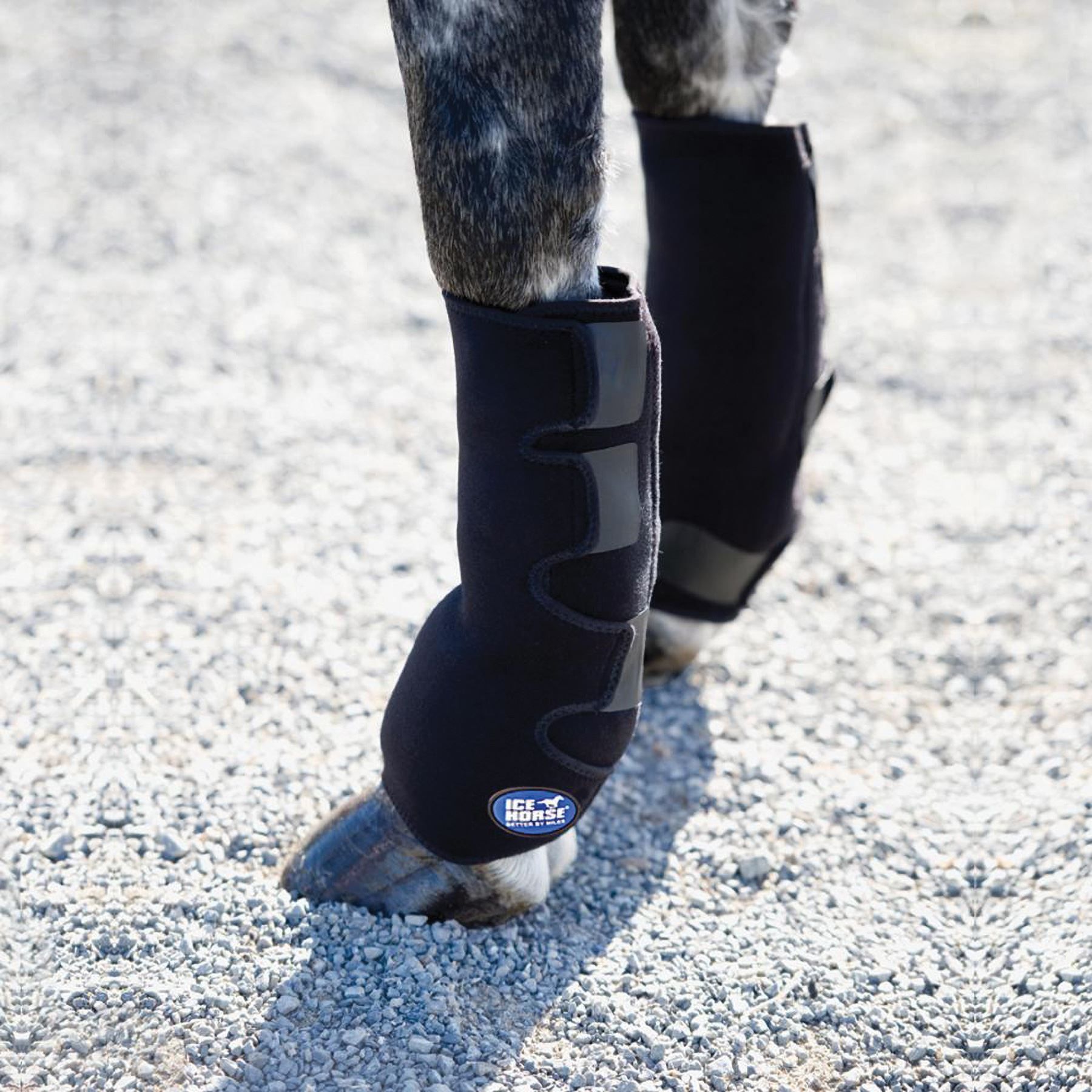Ice Horse® Suspensory Ice Wraps in Horse Boots / Wraps at Schneider