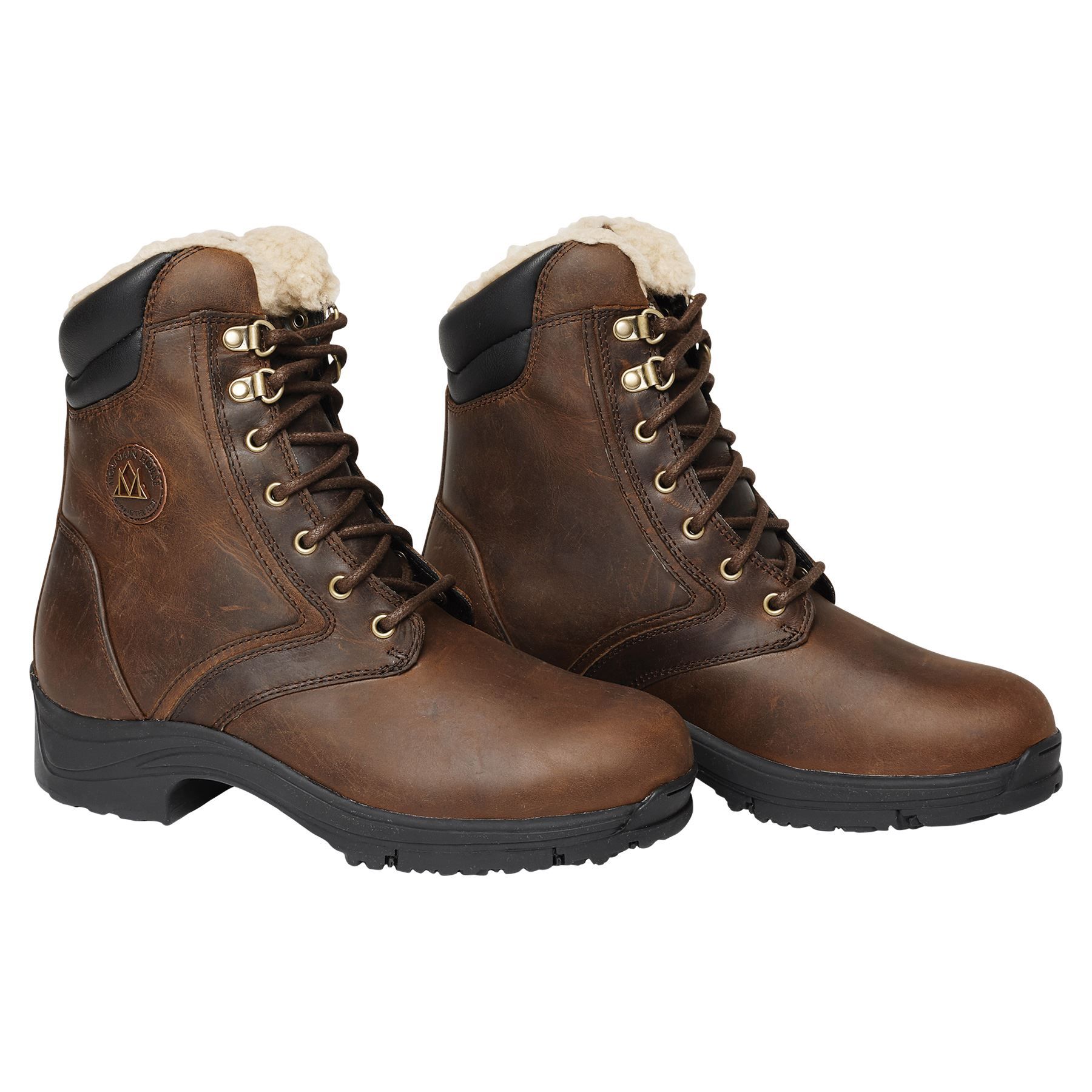 Mountain Horse® Snowy River Women's Lace Paddock Boots in Apparel/Boots