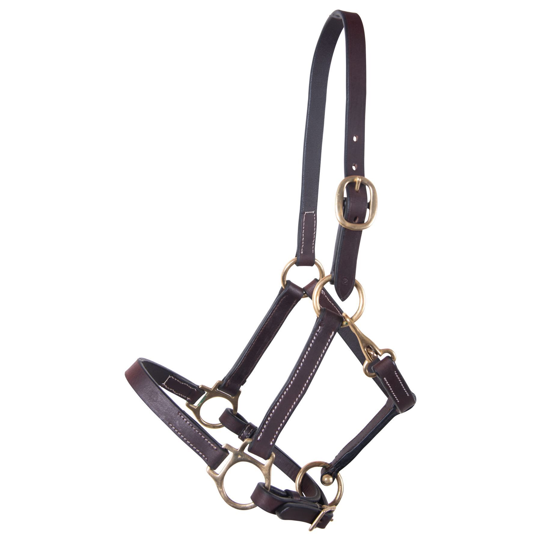 Gatsby Leather Foal Halter with Snap in Stable at Schneider Saddlery
