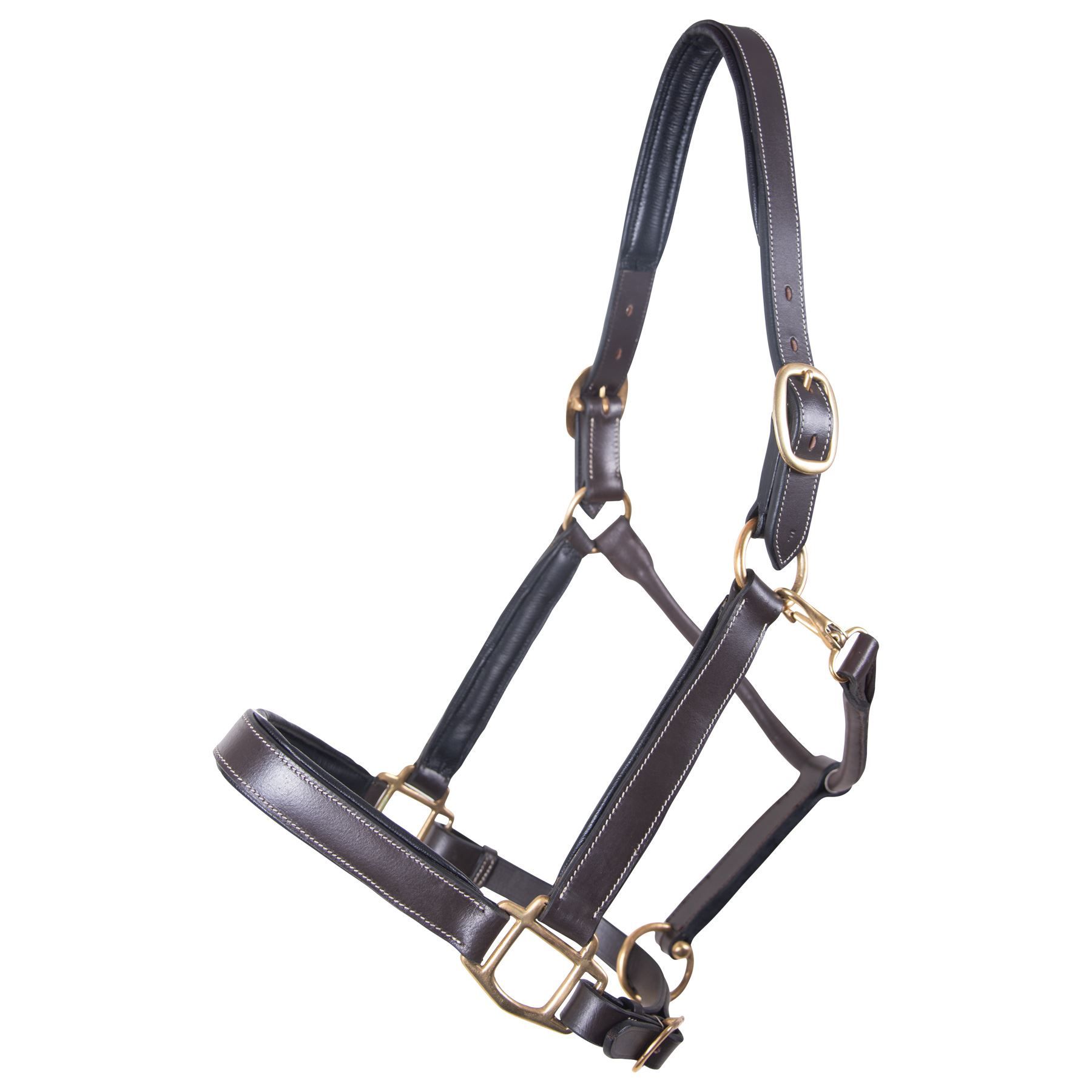 Gatsby Padded Leather Turnout Halter in Leather at Schneider Saddlery