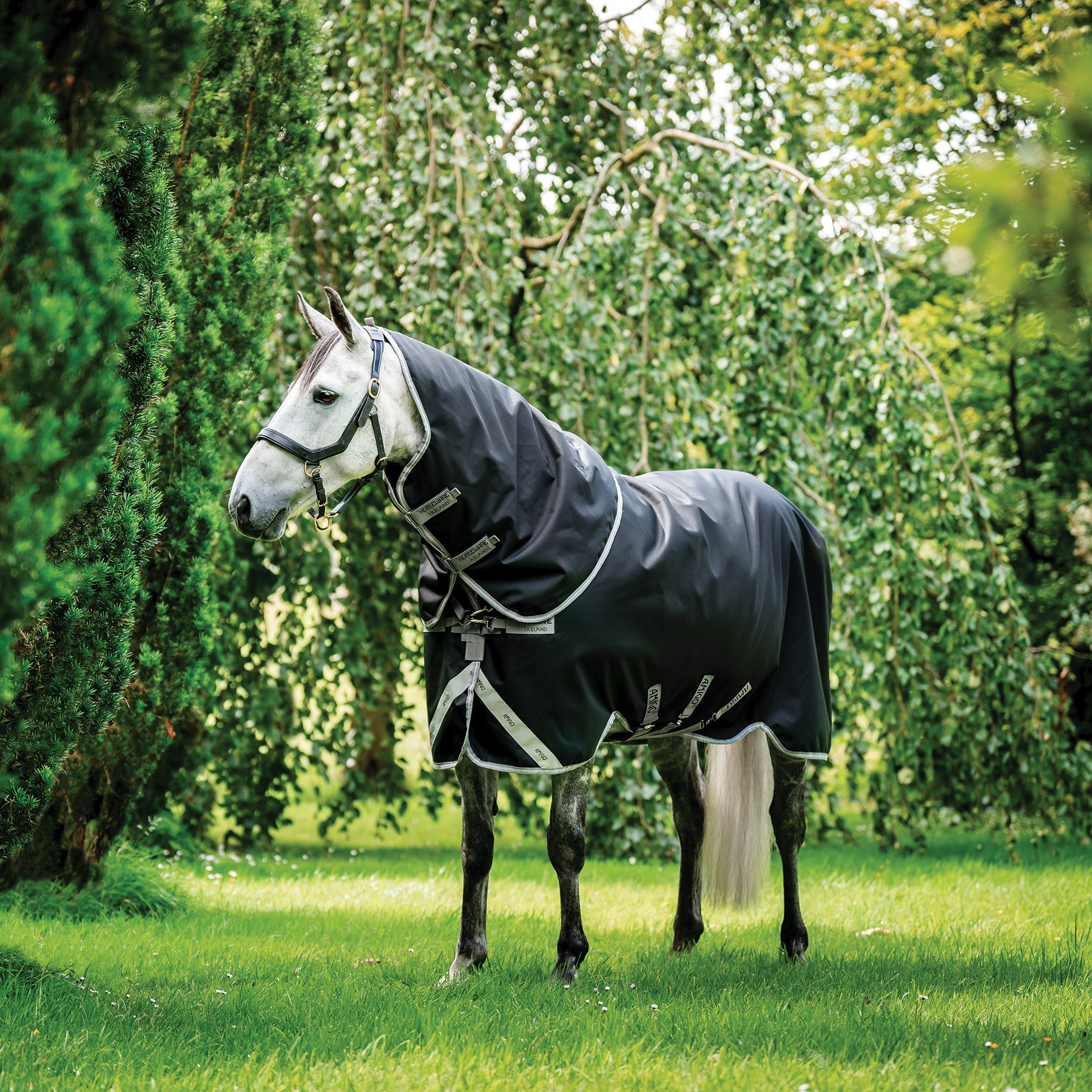 10 Best Amigo Heavyweight Blankets for Ultimate Comfort A