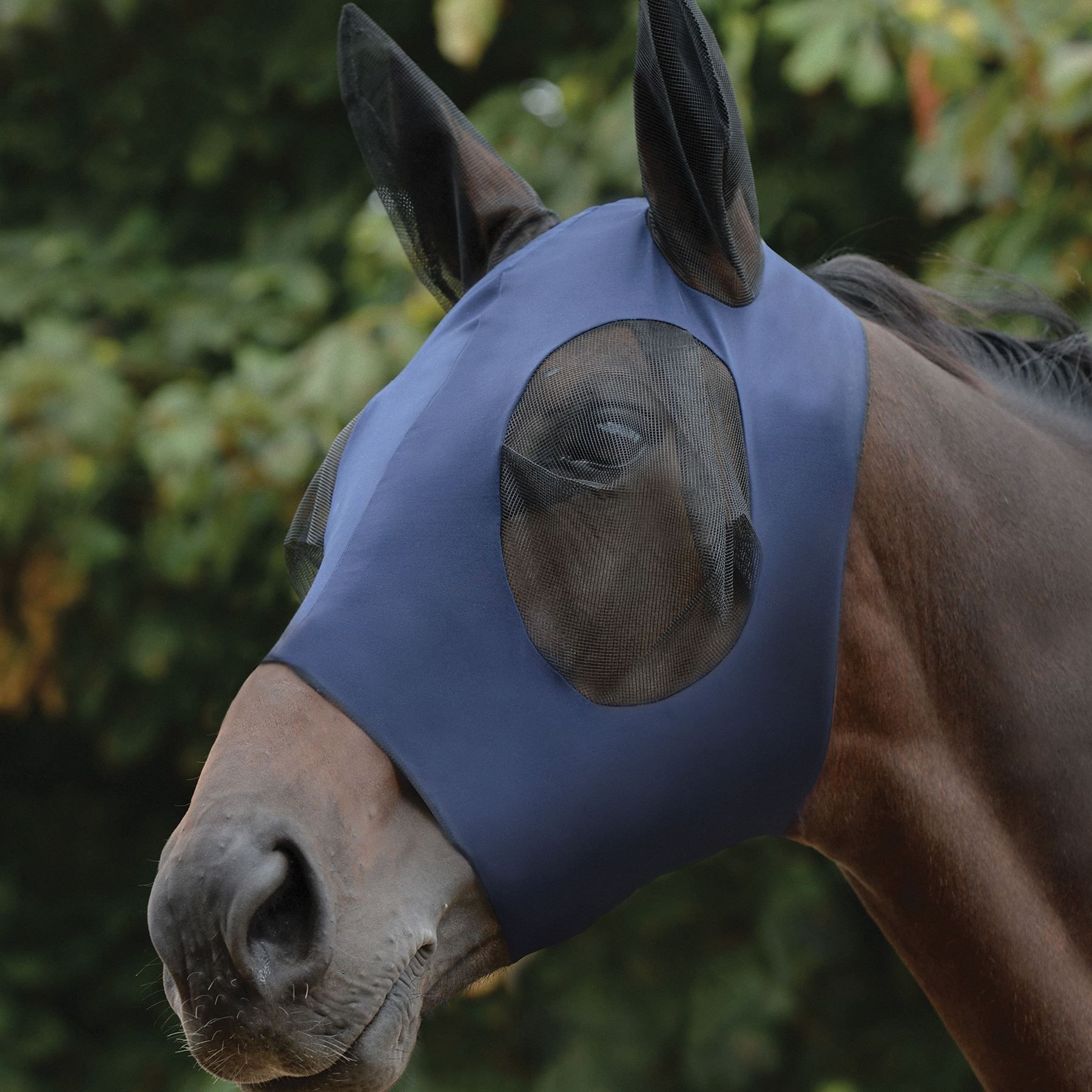 Weatherbeeta® Stretch Bug Saver Fly Mask with Ears in Fly Masks & Fly