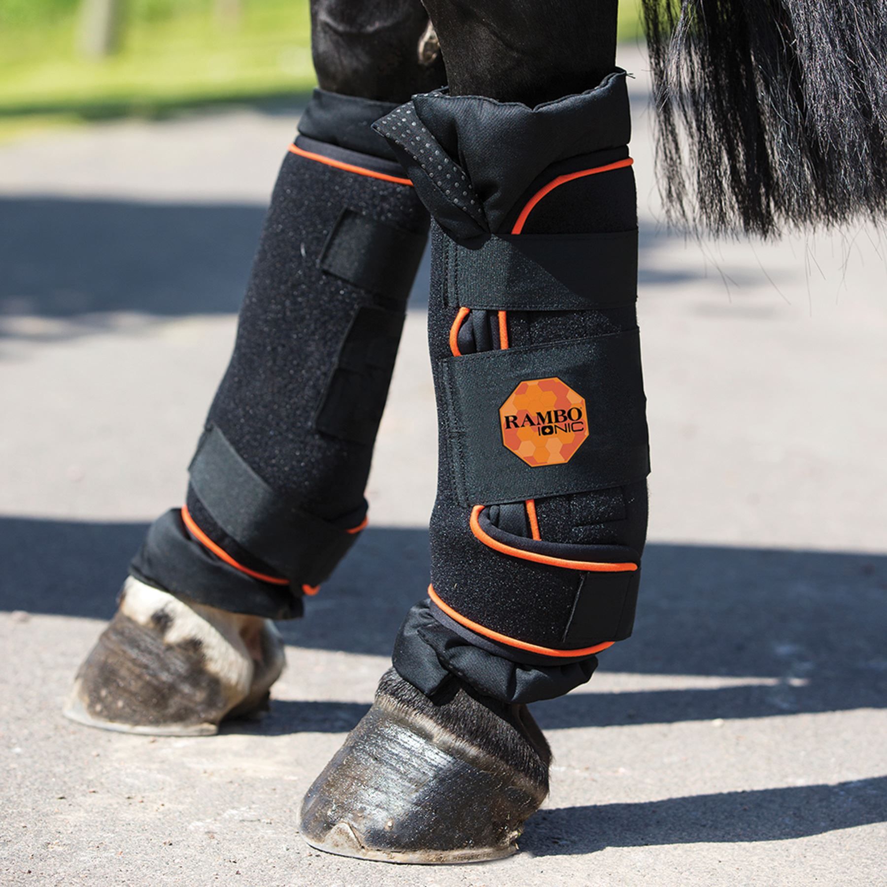 Rambo® Ionic Stable Boots in Horse Care at Schneider Saddlery