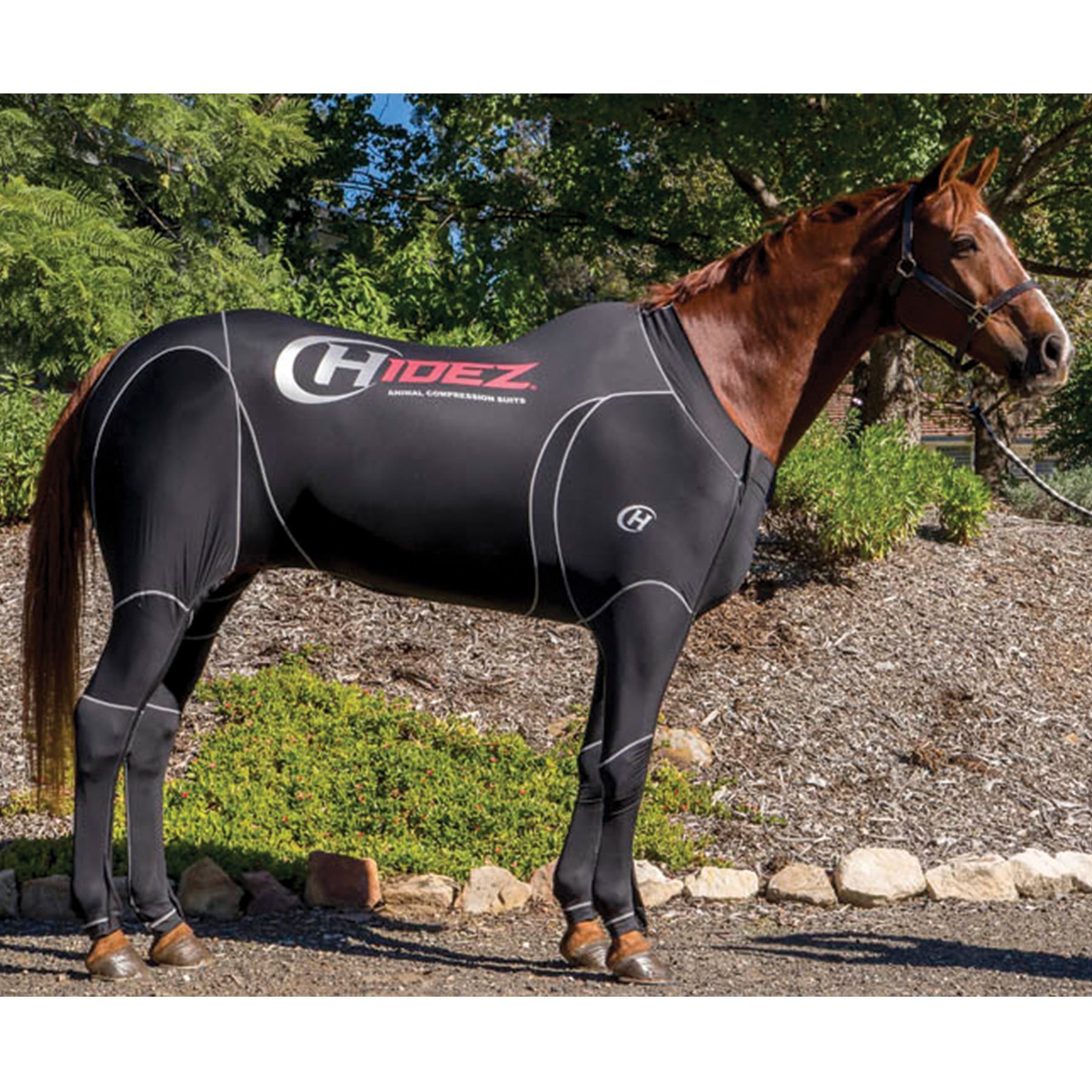 Hidez® Travel & Recovery Compression Suit in Horse Blankets And Sheets