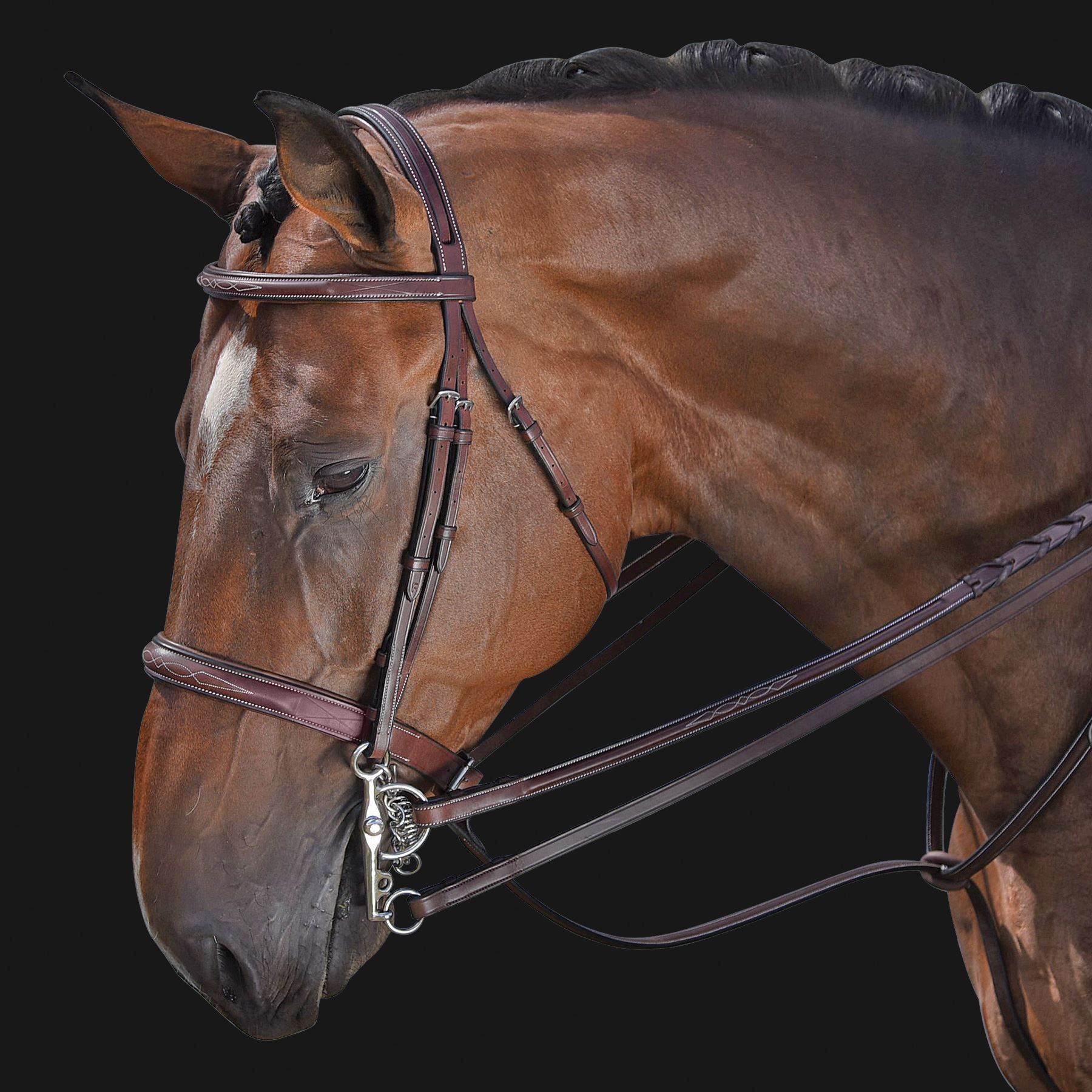 M. Toulouse Platinum Devon Hunter Bridle in Hunter / Jumper at