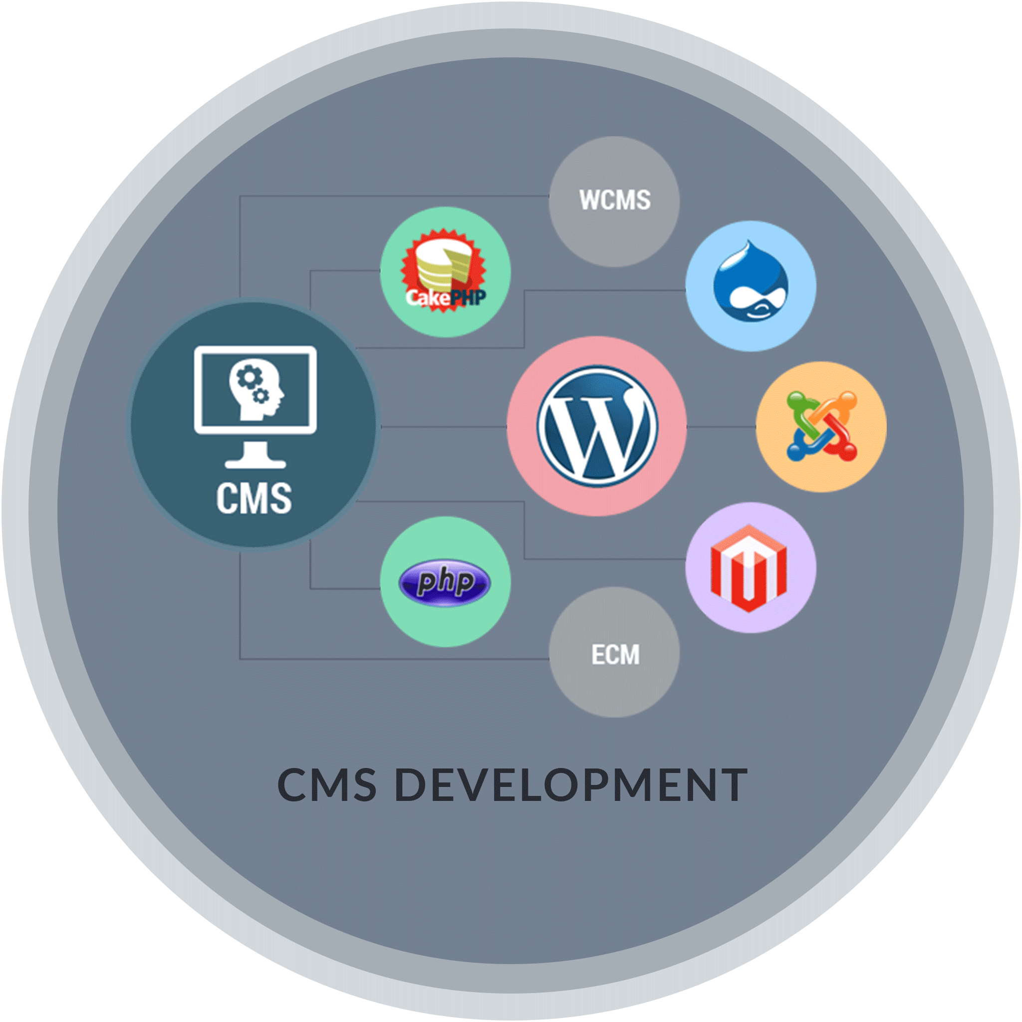 CMS Development Company Custom CMS Web Application