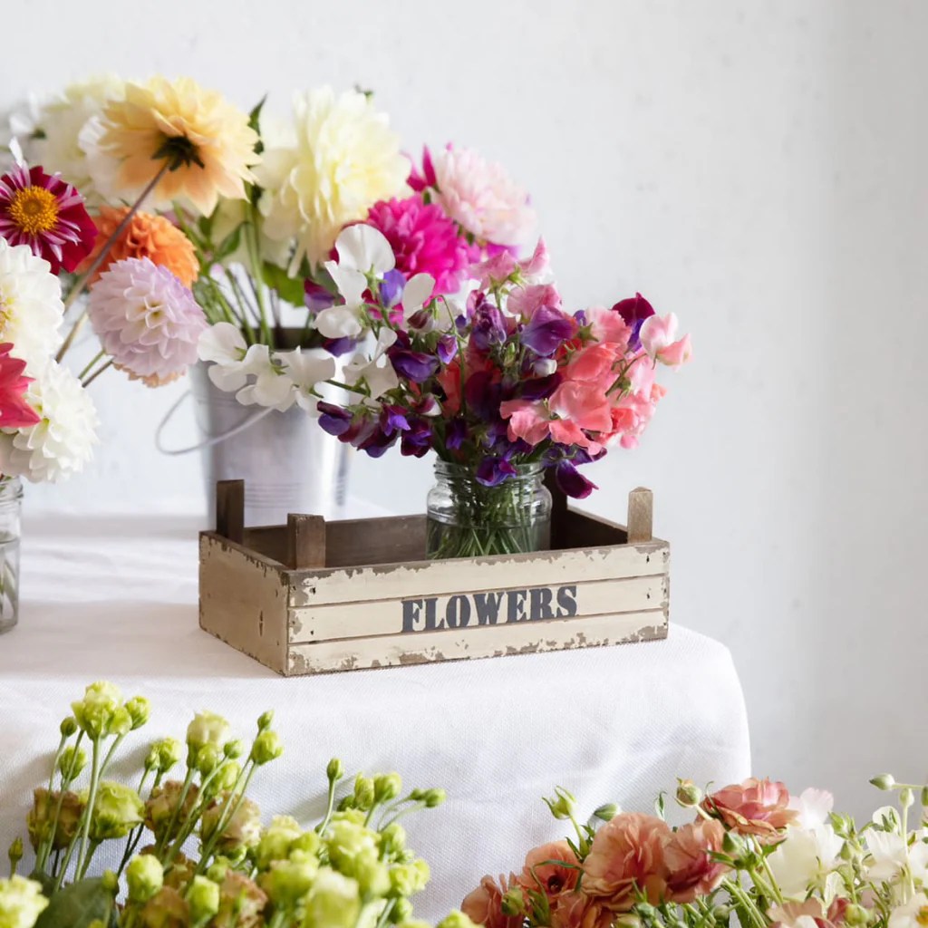 Sophie Flowers Cornwall x St. Eval Sustainable Floral ST. EVAL