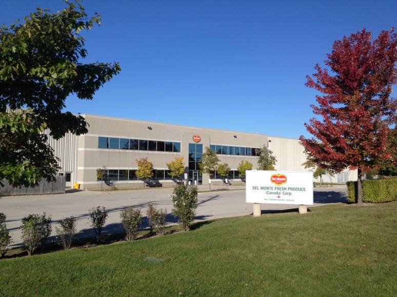 delmonte Stable Technical Services