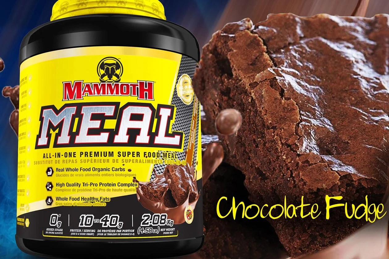 Mammoth drops its allinone superfood meal formula Mammoth Meal Stack3d