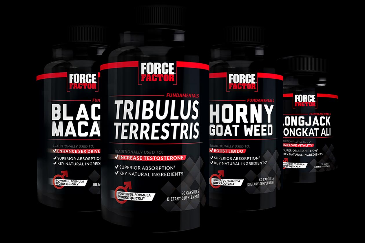Force Factor Foundation Series made up of four simple vitality products Force Factor Foundation Series made up of four simple vitality products