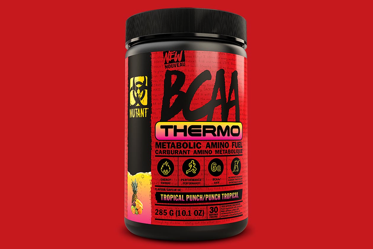 Weight loss supporting Mutant BCAA Thermo now available in Weight loss supporting Mutant BCAA Thermo now available in
