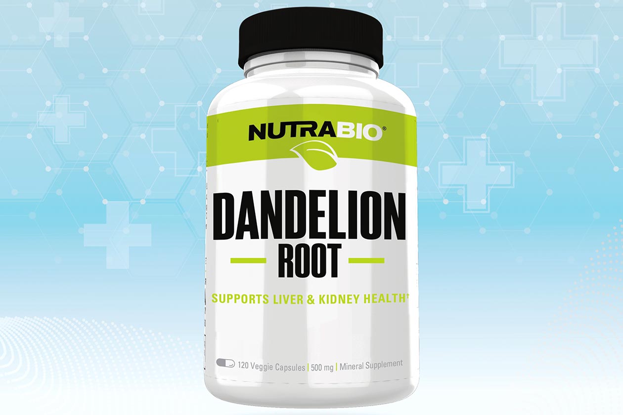 Nutrabio extends its standalone selection with dandelion Nutrabio extends its standalone selection with dandelion