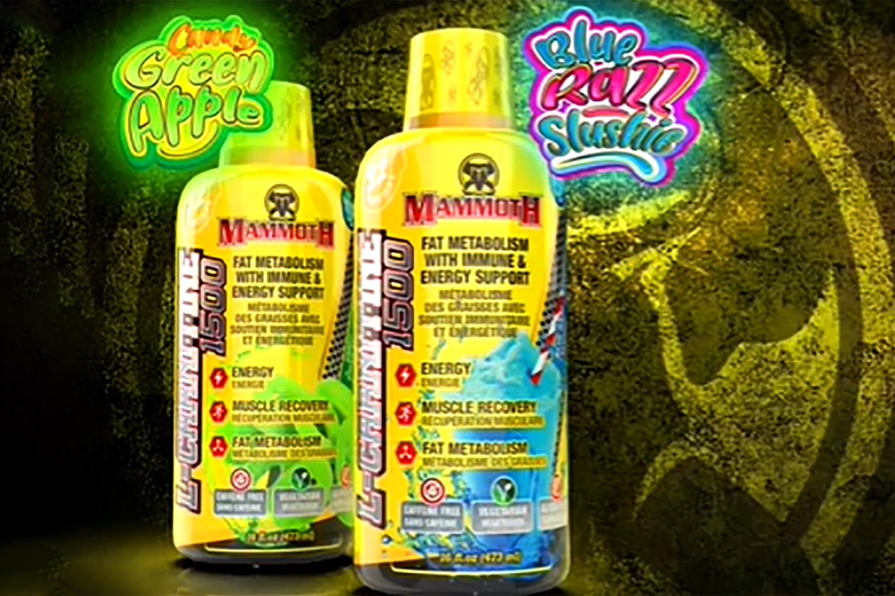 Mammoth puts 1.5g of carnitine into an liquid format supplement