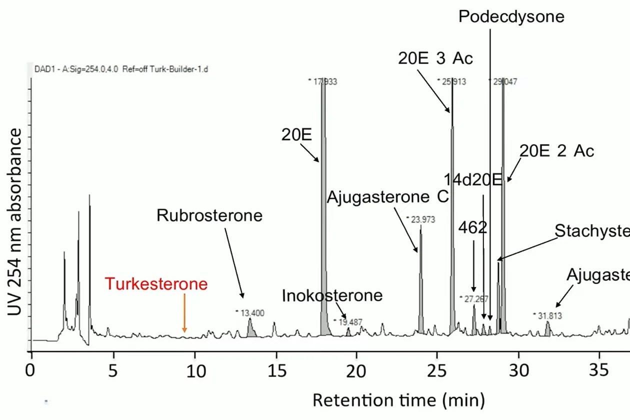 Greg Doucette and HTLT share Turk Builder lab results and break it down