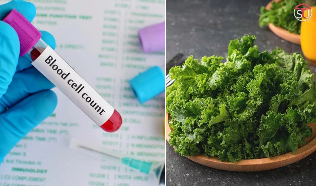 How To Increase White Blood Cell Count Naturally?