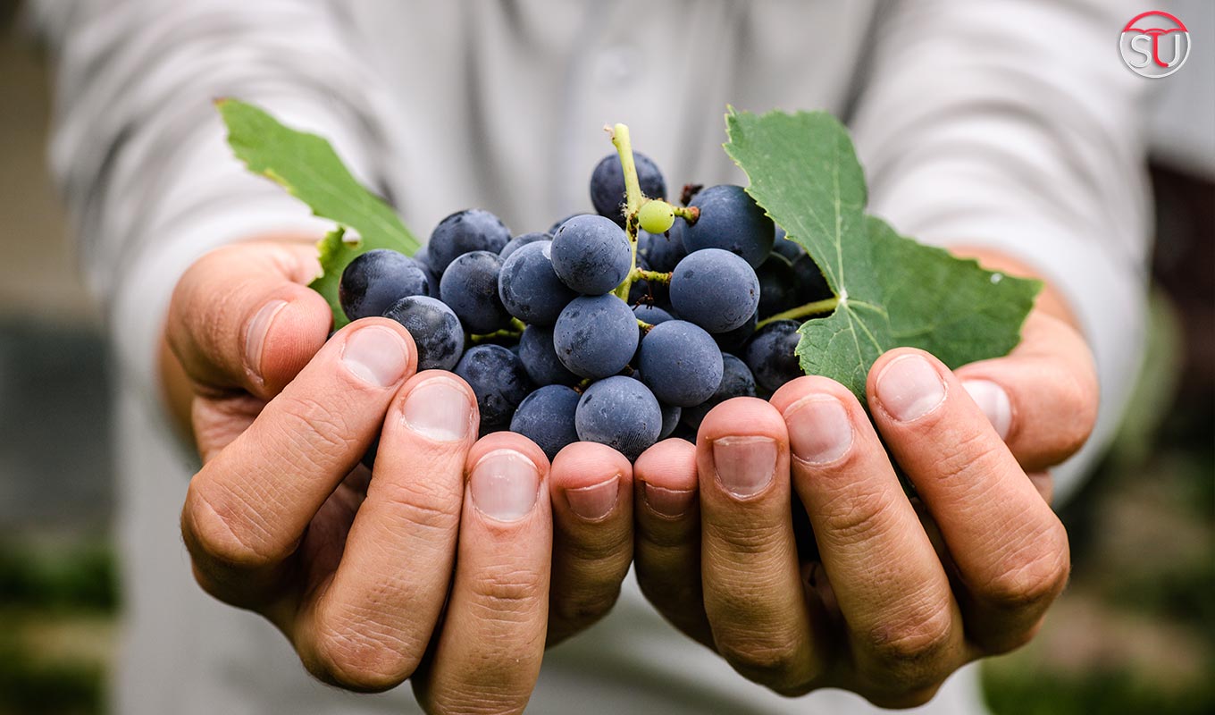 Health Benefits Of Eating Black Grapes