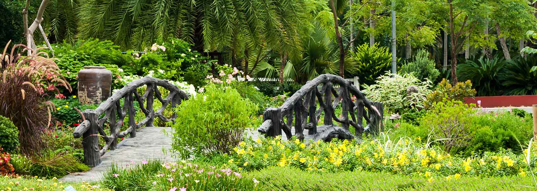 Gallery Nursery And Tree Services