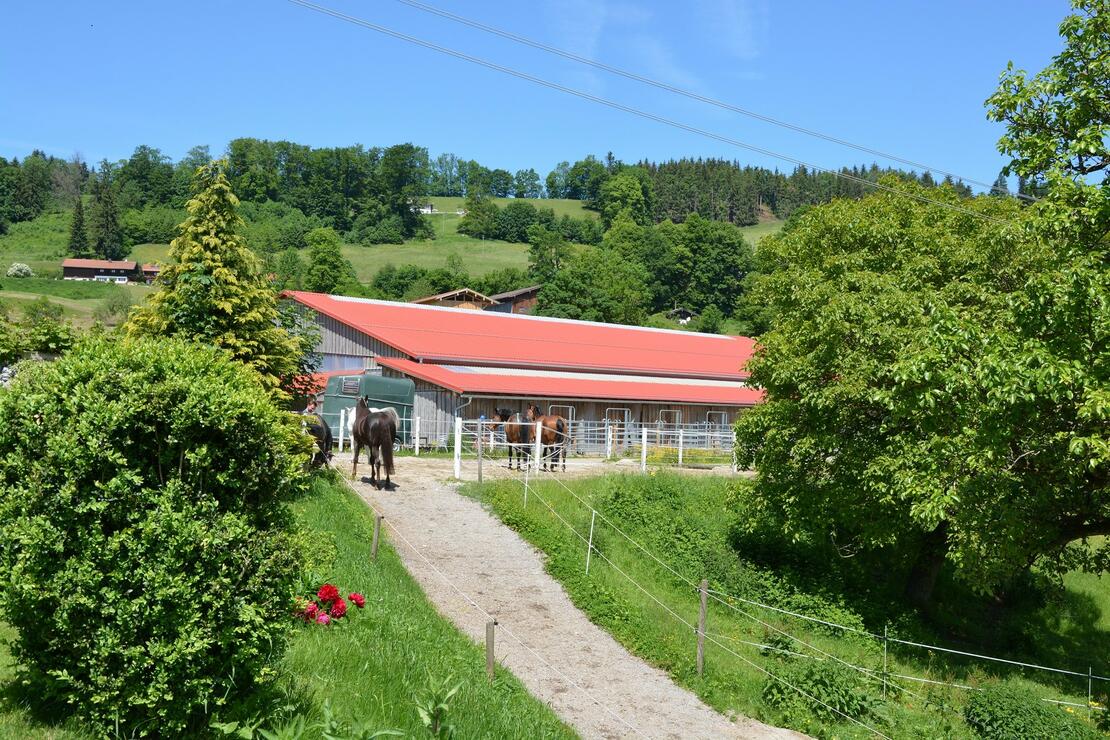 Reitanlage Hof Rossruck Außenbox mit Paddock mit freien Stallplätzen
