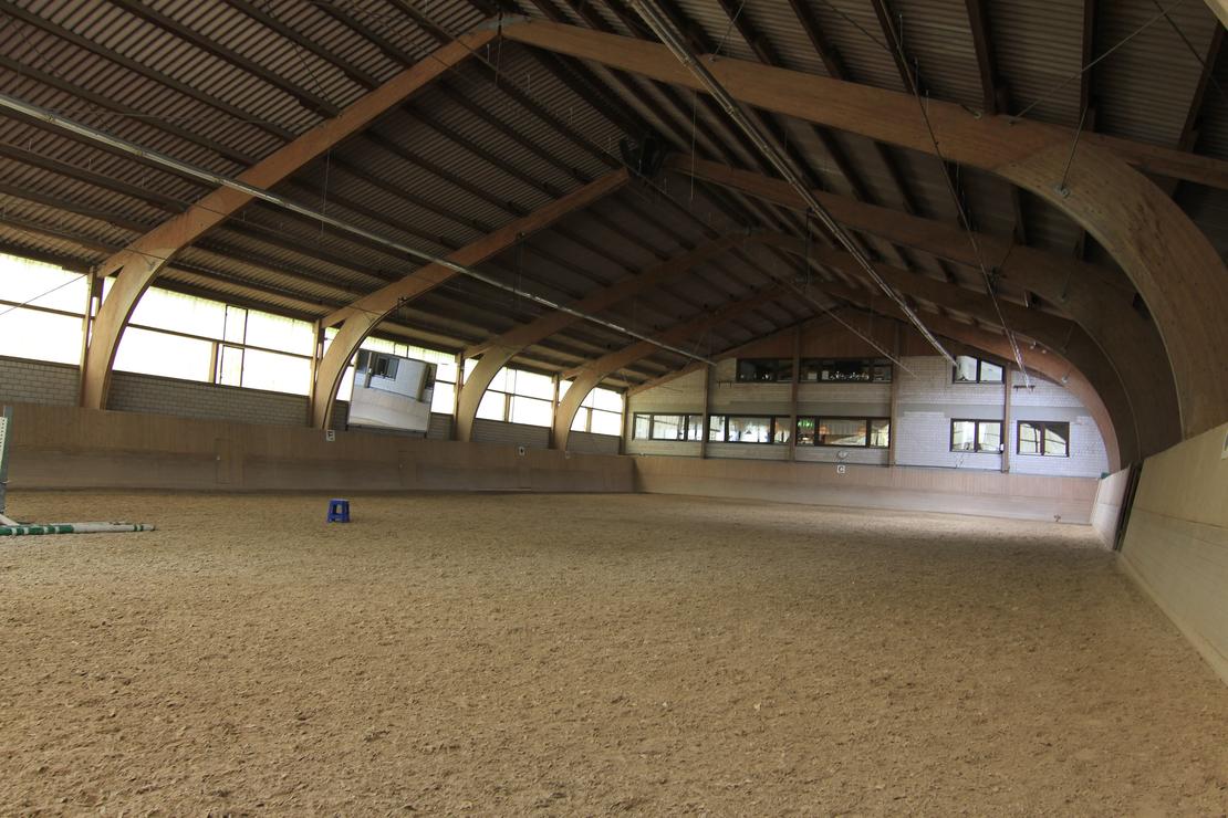 Reitanlage Freiberg am Neckar Außenboxen mit freien Stallplätzen oder