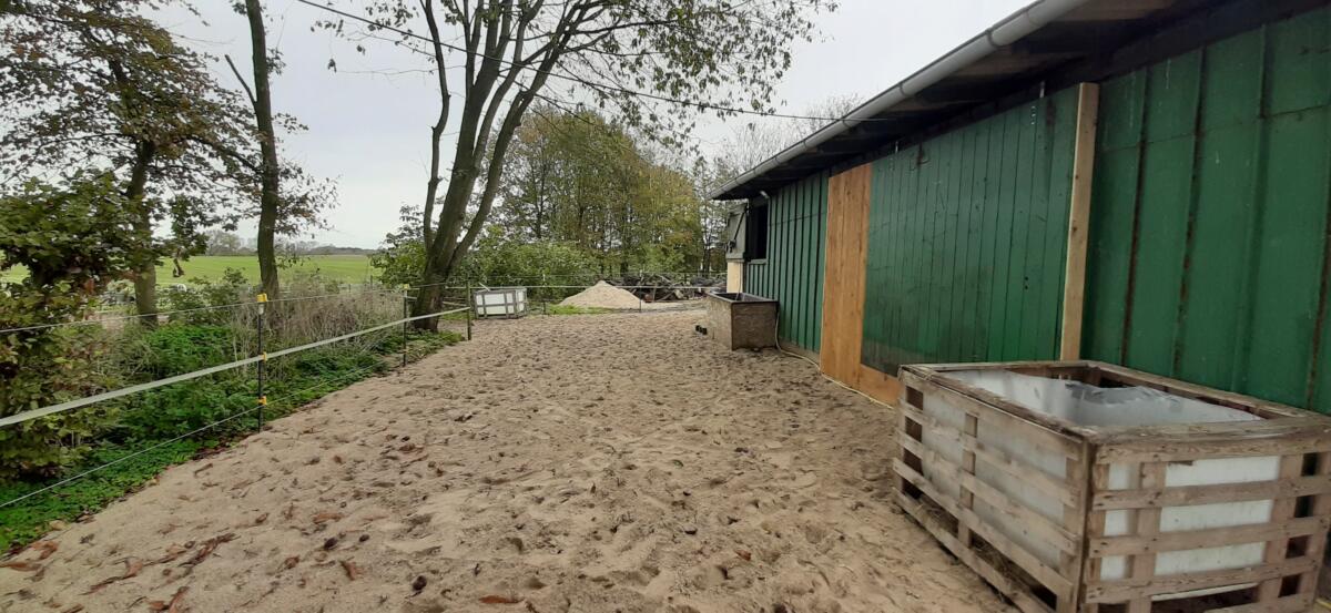Platz für Wallach im Offenstall, Paddocktrail mit freien Stallplätzen