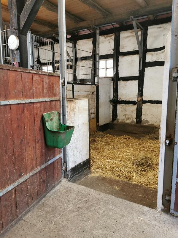Kleine Stallgemeinschaft hat freien Platz für Pony mit freien Stallplätzen oder Pferdeboxen in
