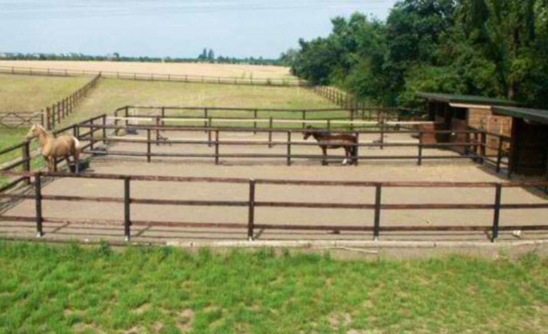 Reitanlage in Pulheim, 20x60m Halle, hat Boxe frei Außenbox mit Paddock