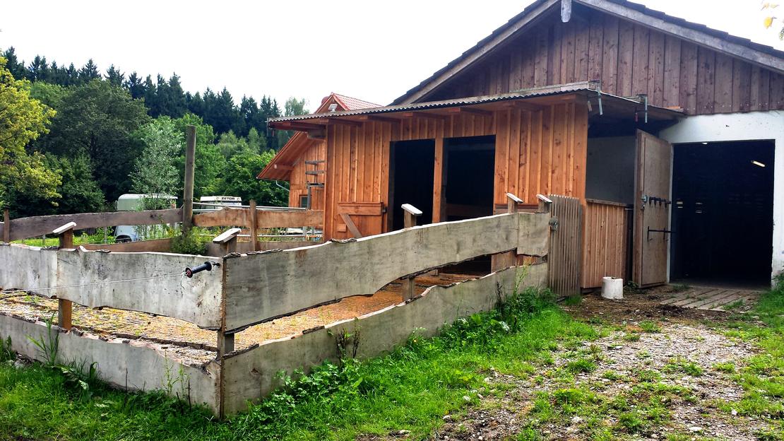 Ruhig gelegener Freizeitstall mit freien Stallplätzen oder Pferdeboxen