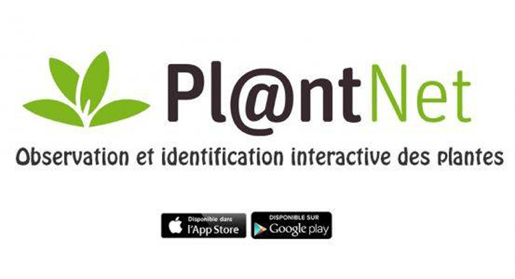 Riconoscere piante e fiori con un click nasce