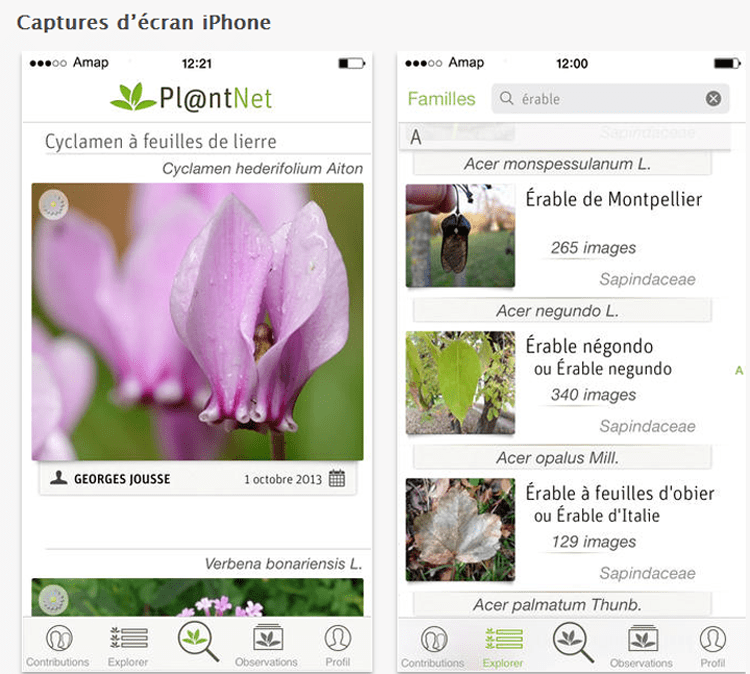 Riconoscere piante e fiori con un click nasce