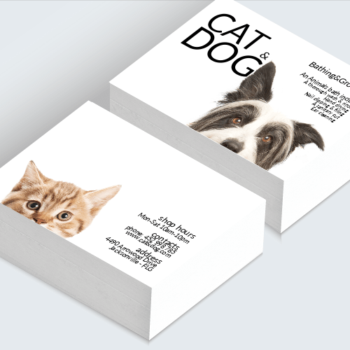 Stampa Biglietti da Visita Online in Offerta a partire da 13€!