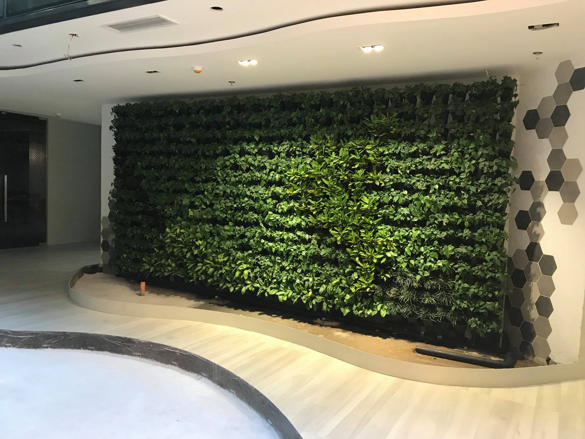 SEAPAC PHILIPPINES TWO GREENWALL AT LOBBY AREA (INDOOR) Stande Phils