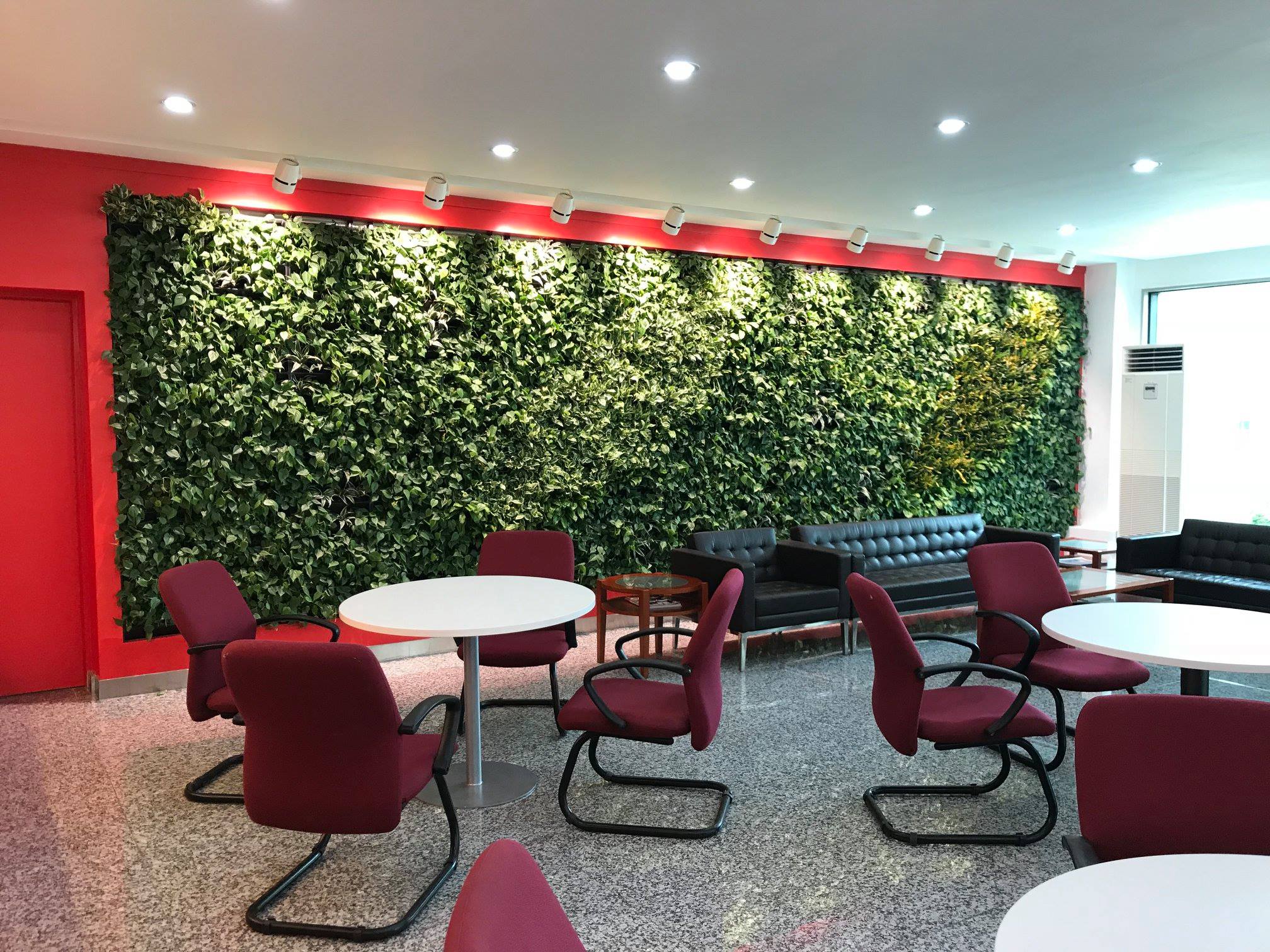 TOYOTA GREENWALL AT RECEPTION AREA (INDOOR) Stande Phils. Workers Inc.