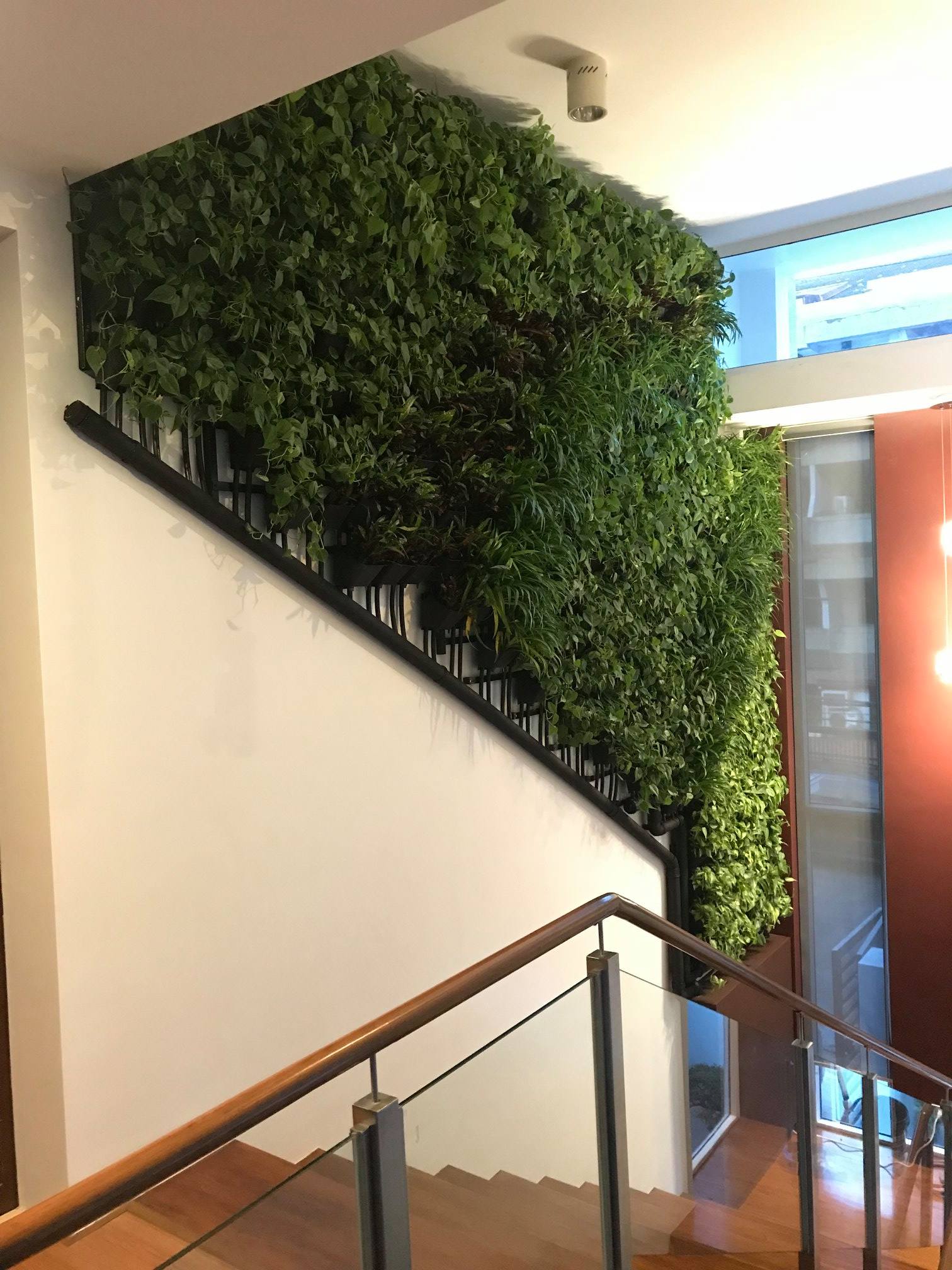 HANGING TYPE GREENWALL (INDOOR) Stande Phils. Workers Inc.