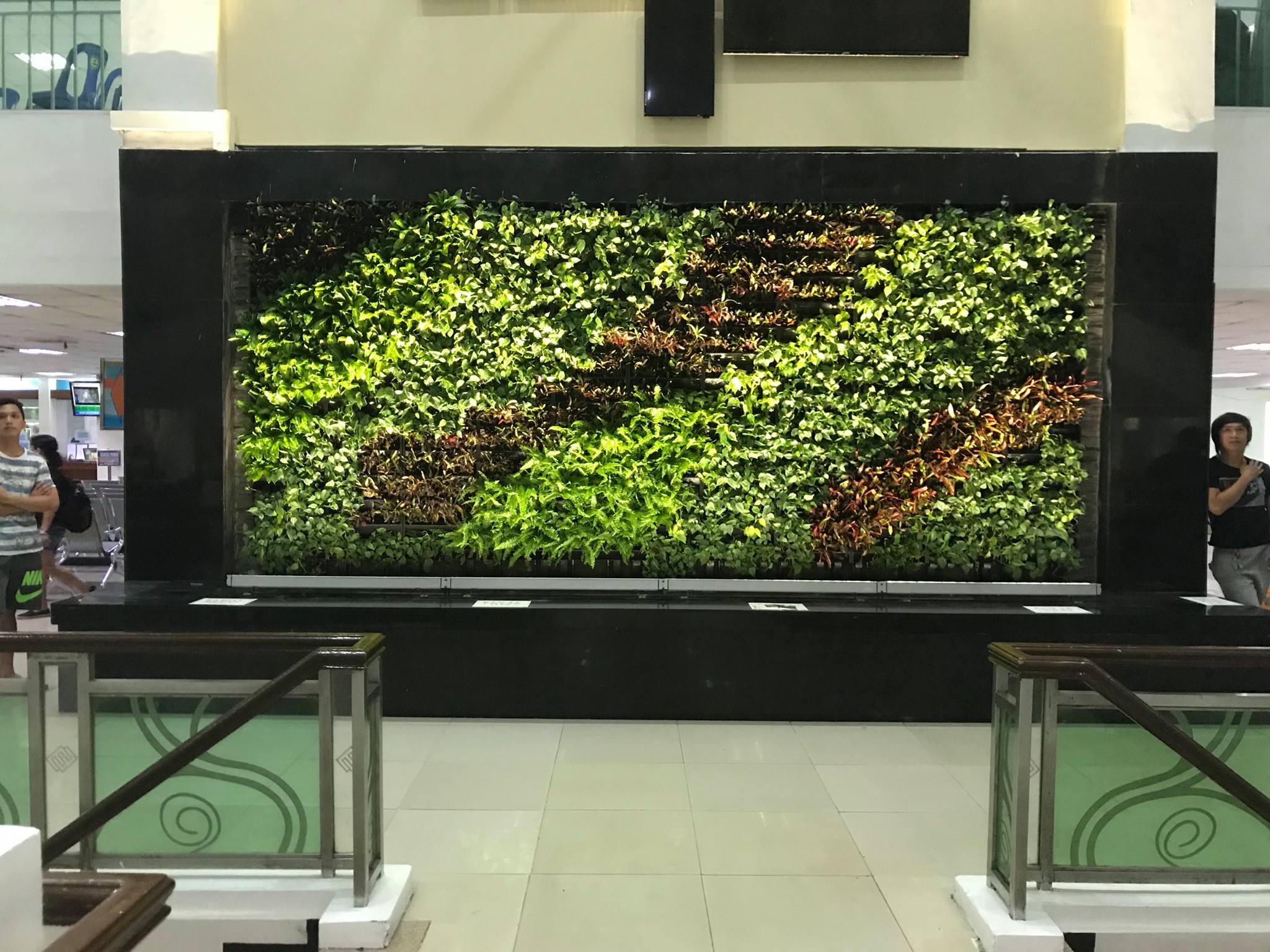 PASIG CITY HALL SECOND FLOOR GREENWALL DESIGN EXCHANGE (INDOOR