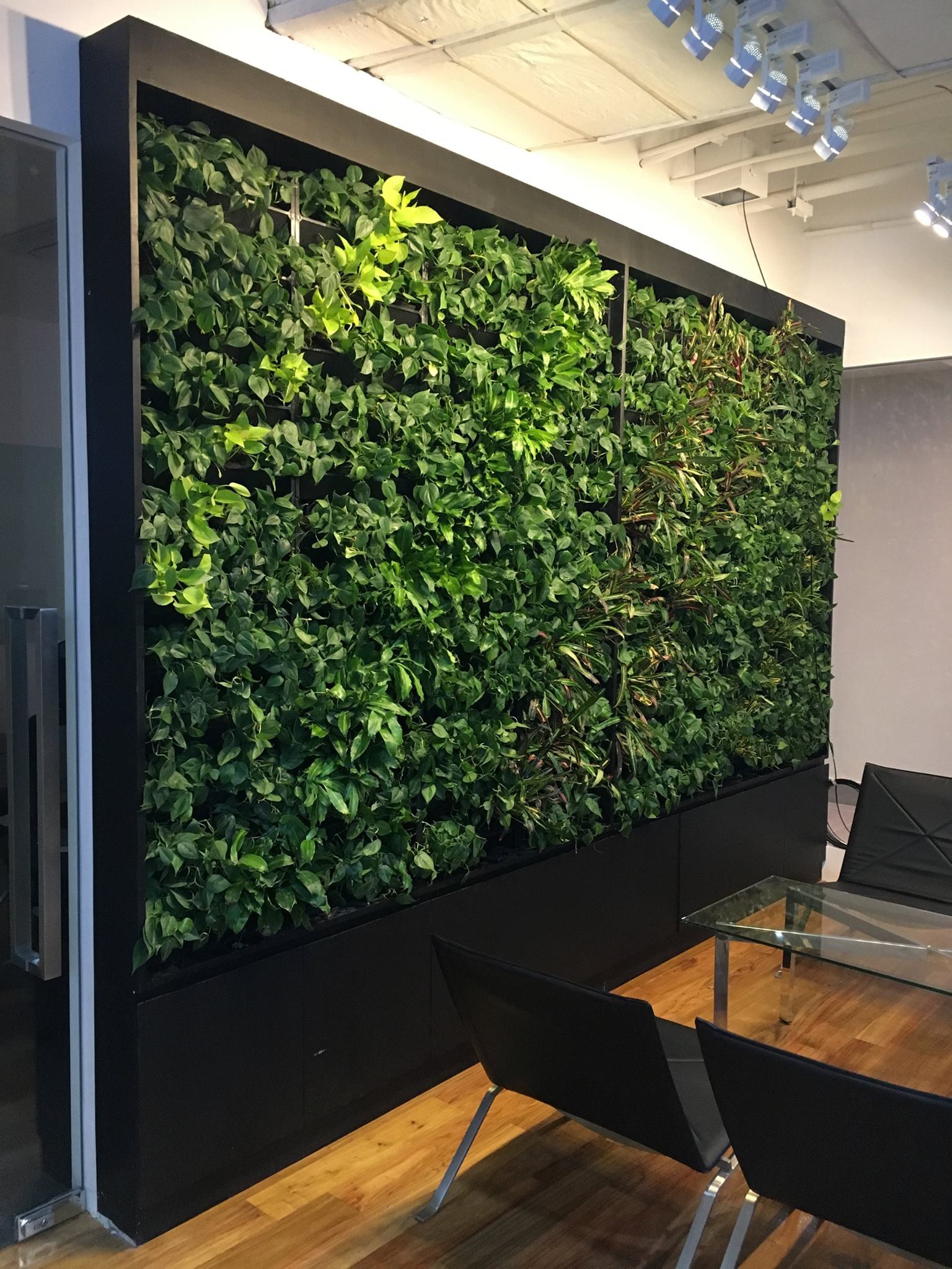 EQUIPARCO GREENWALL IN OFFICE AREA ROCKWELL (INDOOR) Stande Phils