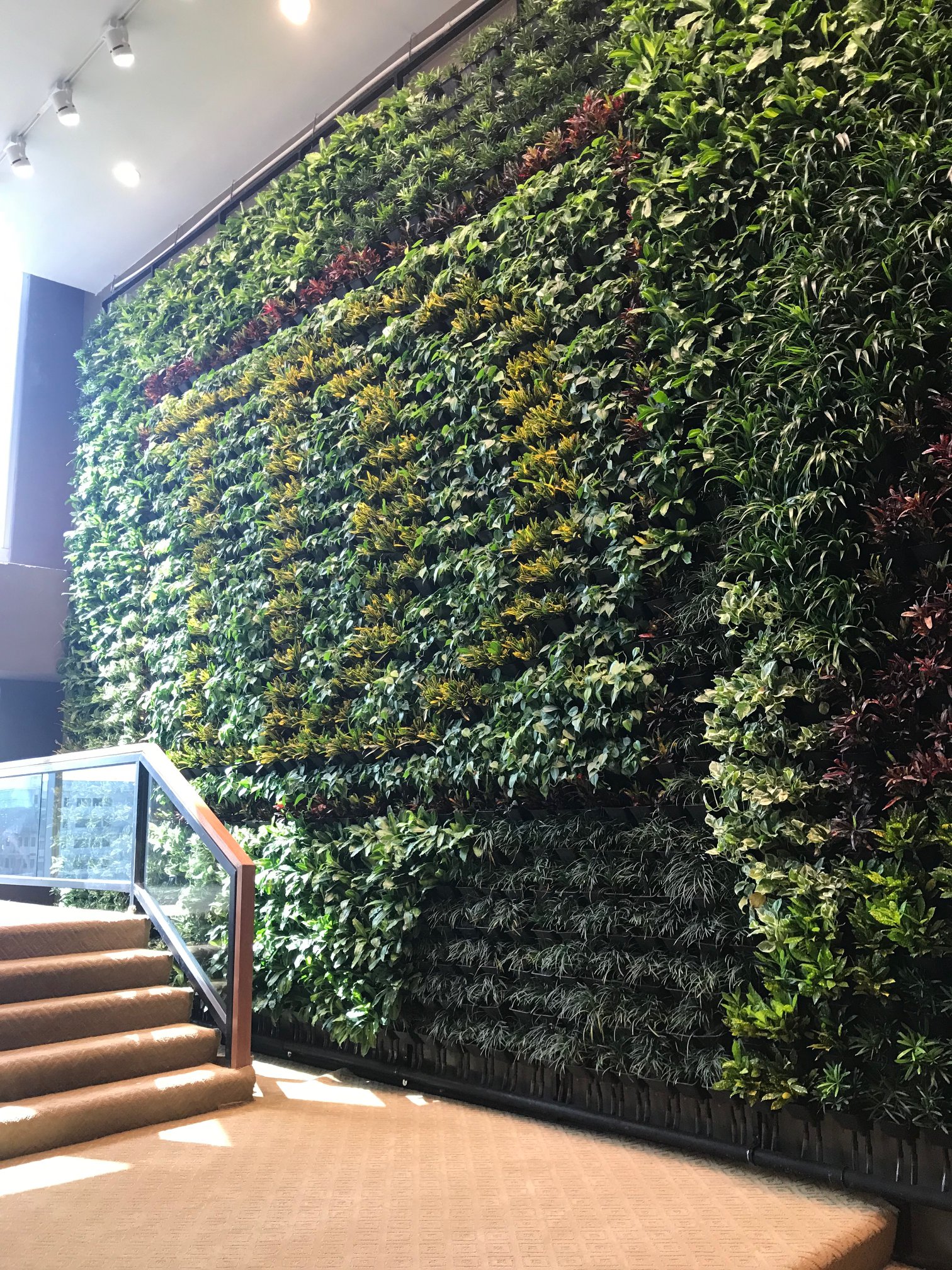 DOUBLE DRAGON GREENWALL AT STAIR & LOUNGE AREA (INDOOR) Stande Phils