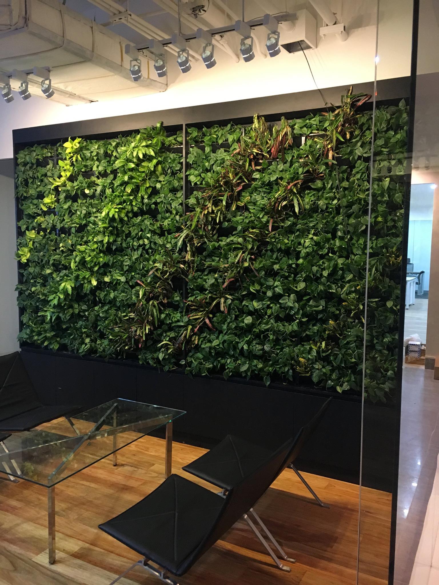EQUIPARCO GREENWALL IN OFFICE AREA ROCKWELL (INDOOR) Stande Phils