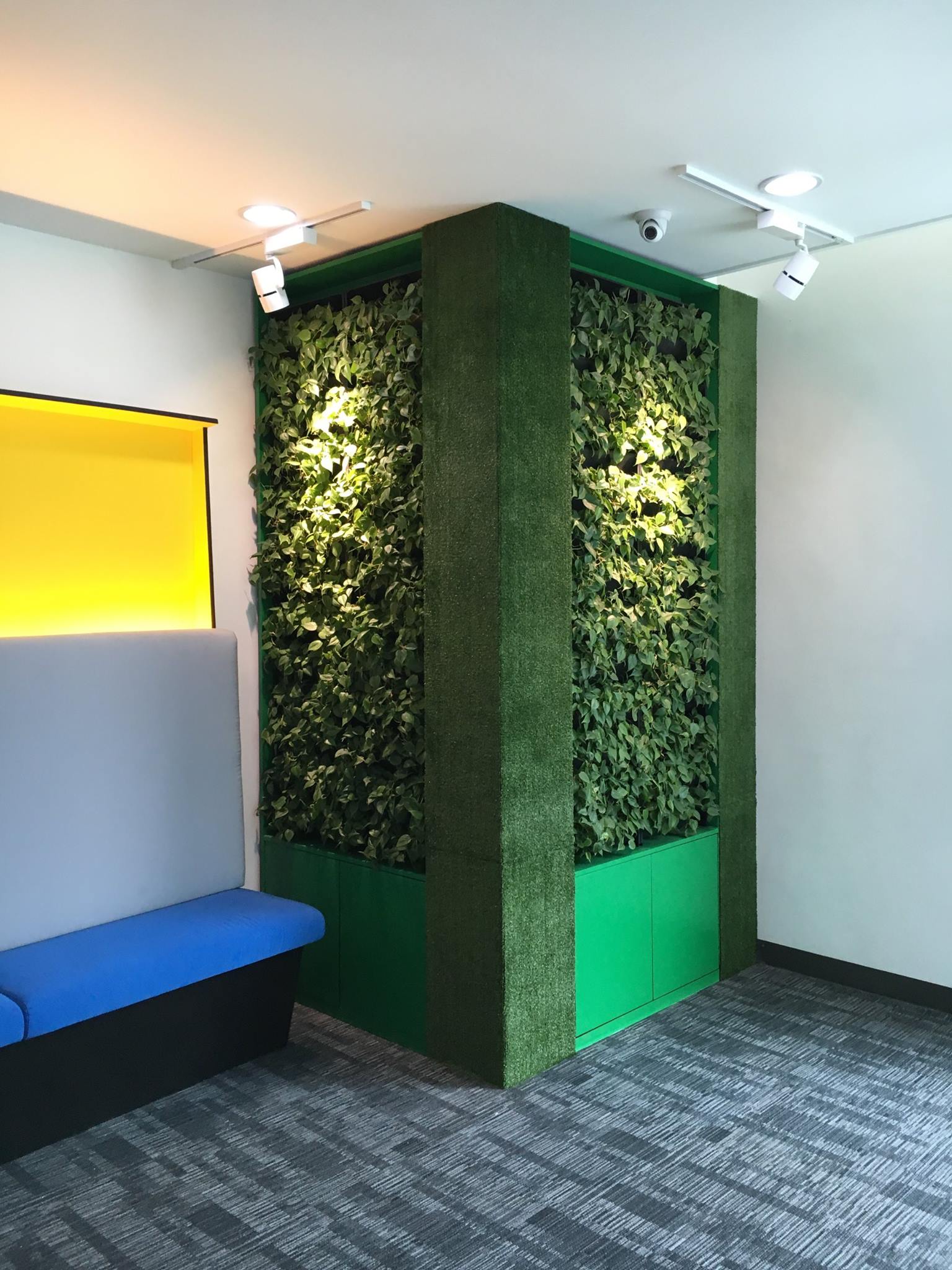 STERLING TALENT SOLUTION GREENWALL AT WAITING AREA QUEZON CITY (INDOOR