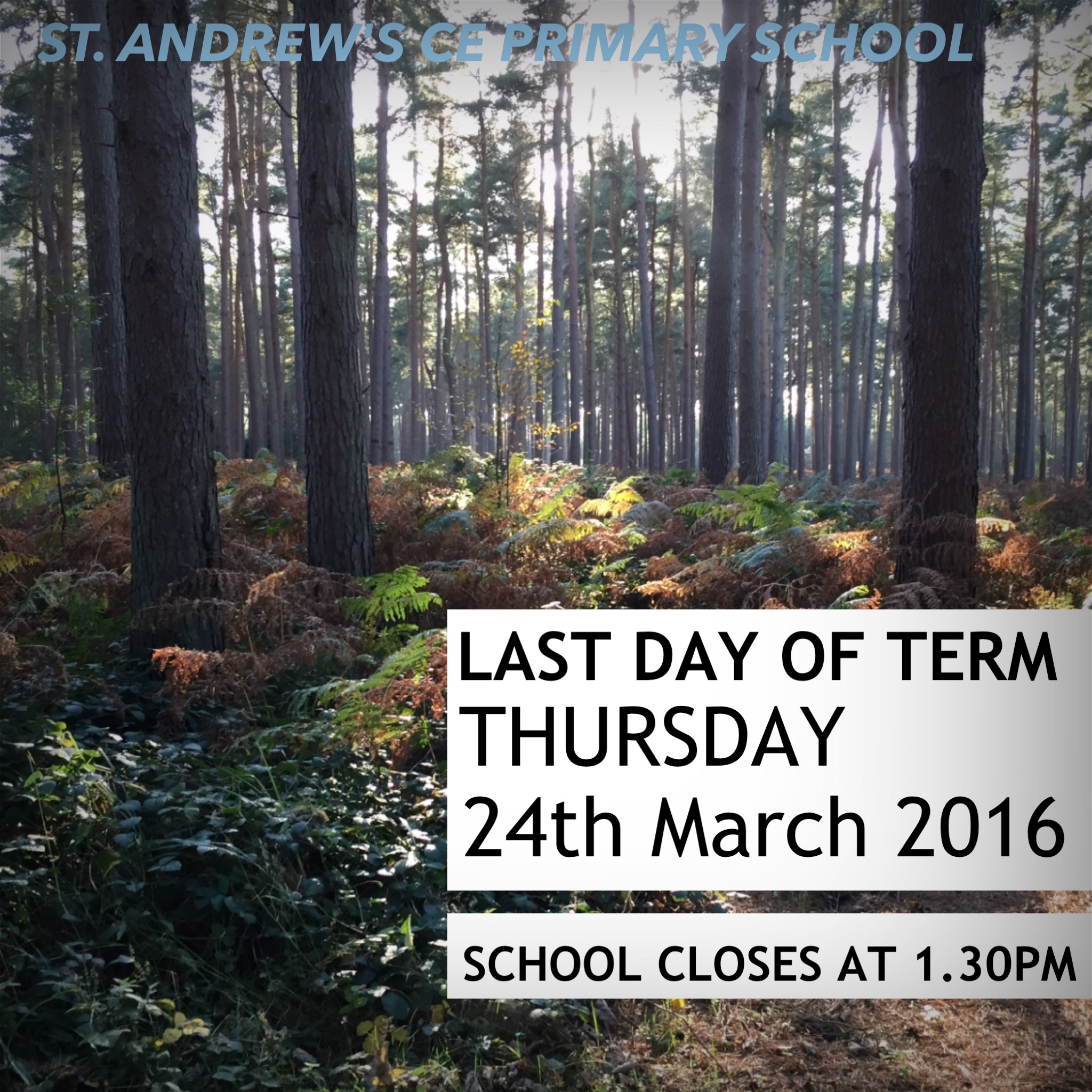 Last Day of Spring Term 2016