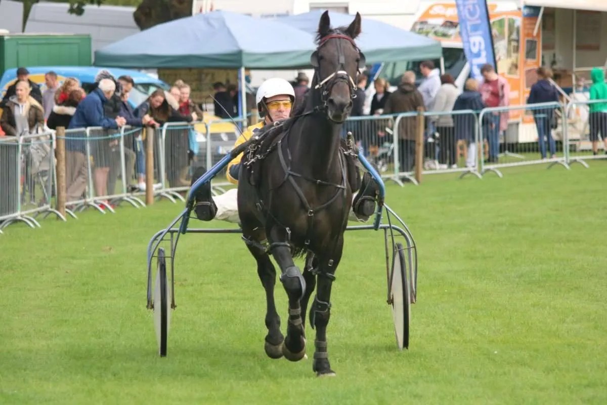 Harness Racing At Pocono Downs Signature Events For 2024 Season Harness Racing Stanhope Show