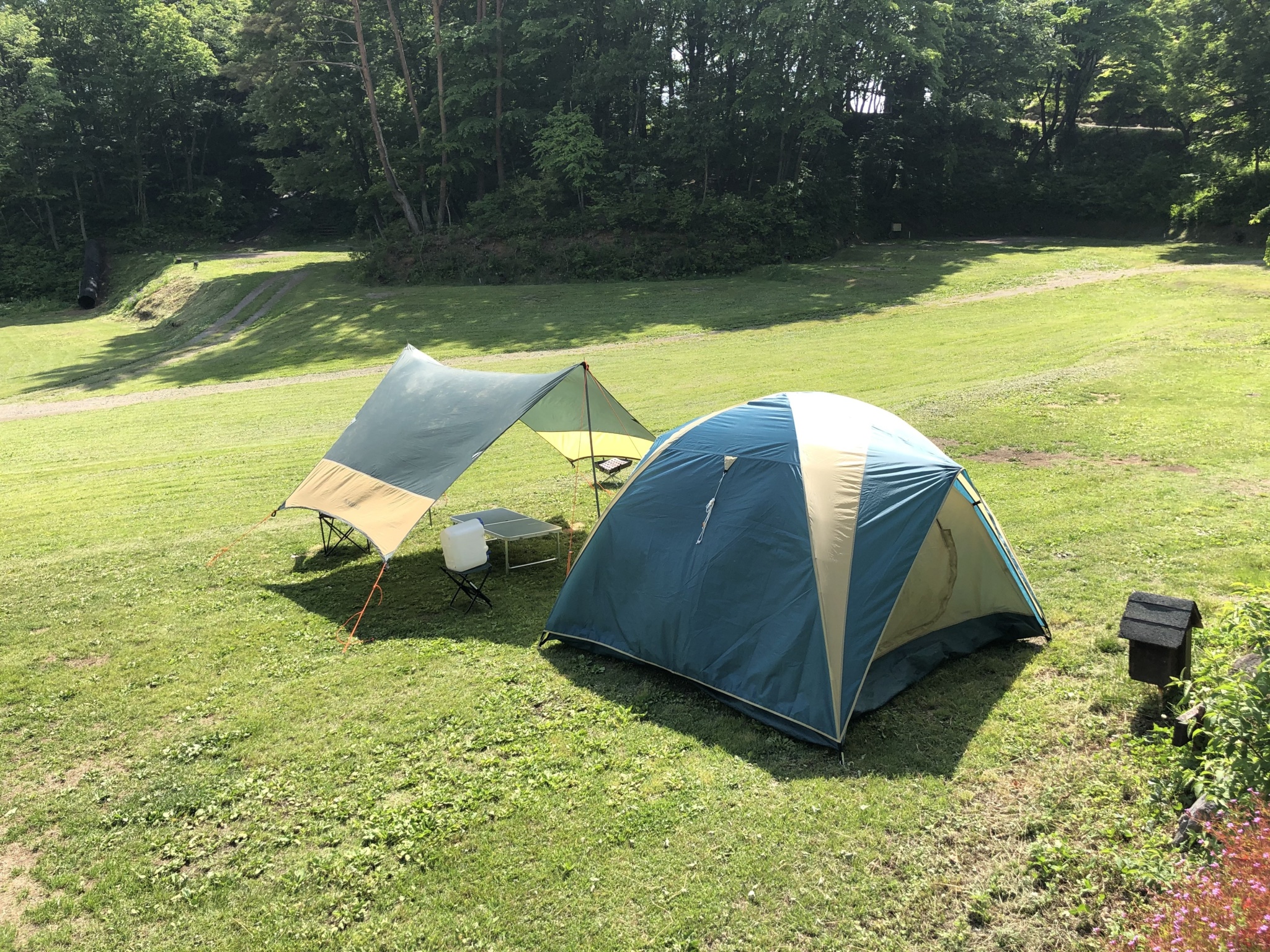 オートキャンプサイト紹介｜星の降る森 【公式HP】｜群馬県・沼田ICより15分のキャンプ場