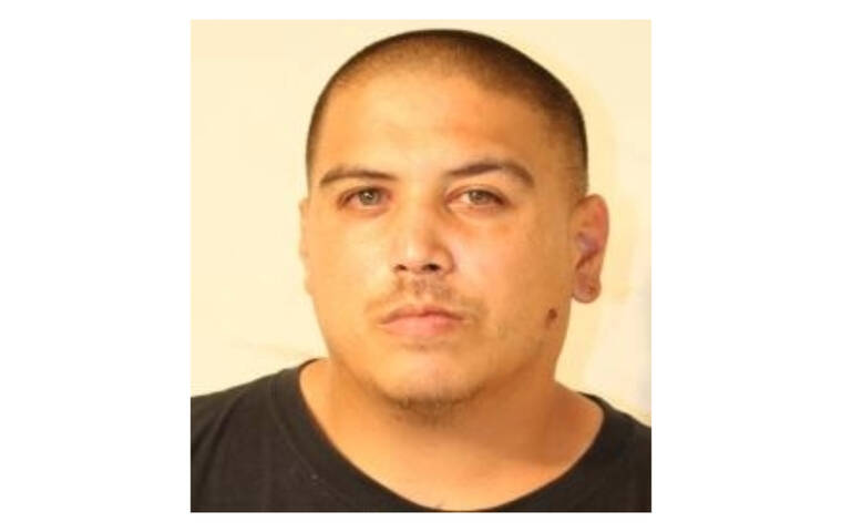 Hawaii island police search for 2 men after officer shot in Hilo | Honolulu Star-Advertiser