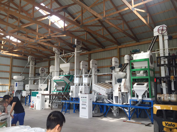 Mini rice mill plant Low cost price for sale_Manufacturer of Rice