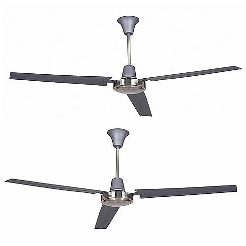 Ellington Surfboard Ceiling Fan Shelly Lighting