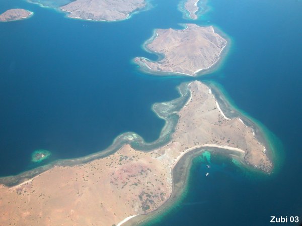 1. Oekologie Riffvorkommen und Riffarten (Atoll, Saumriff 1. Oekologie Riffvorkommen und Riffarten (Atoll, Saumriff